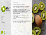 Агентство интернет-маркетинга “Kiwi Agency”