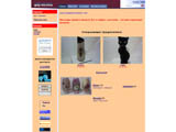 интернет магазин керамики