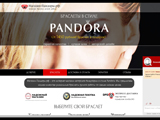 Браслеты PANDORA высшего качества